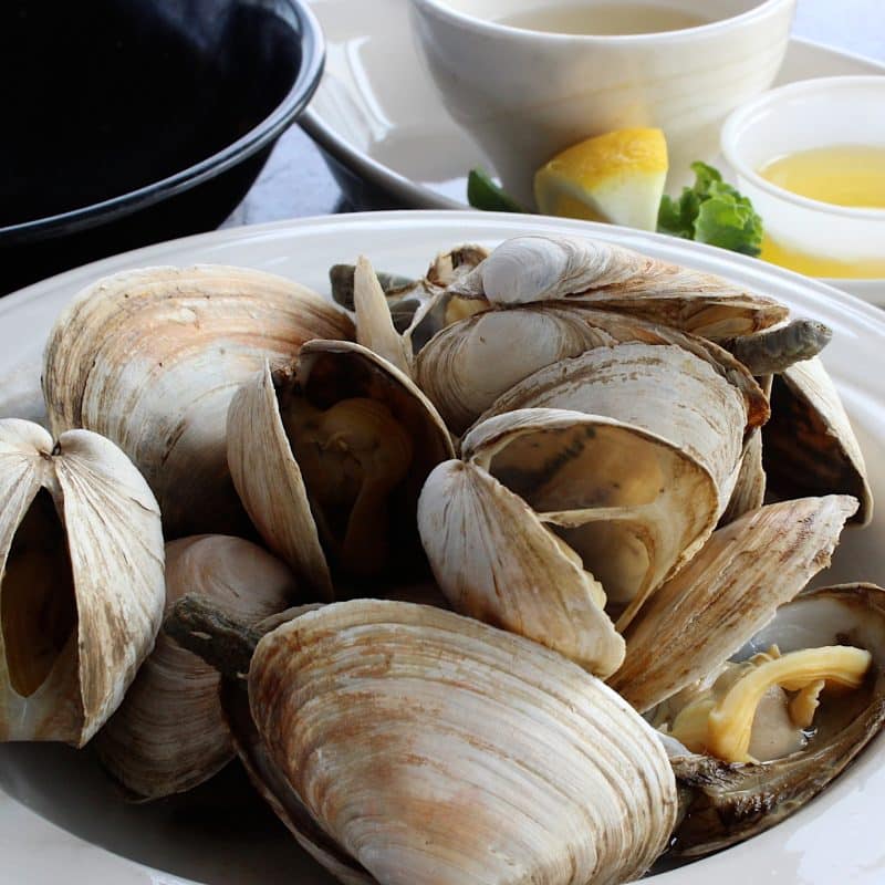 square Lobster Cove Restaurant